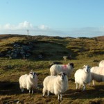 Western Isles MSP speaks on crofting reform bill