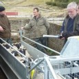 A NEW project which aims to evaluate how producers running sheep in a commercial ‘hard hill’ business can benefit from using performance recorded genetics, was announced at NSA Highland Sheep […]